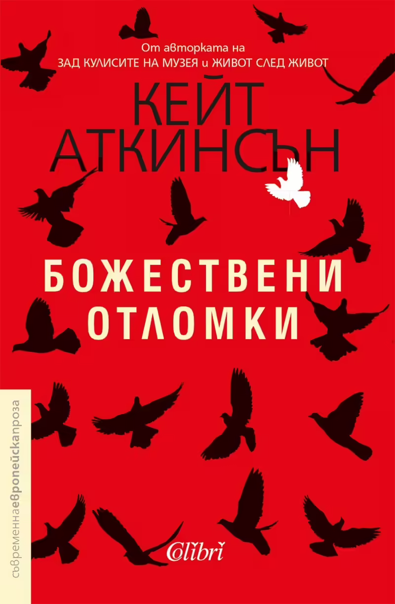 Корицата на Божествени отломки