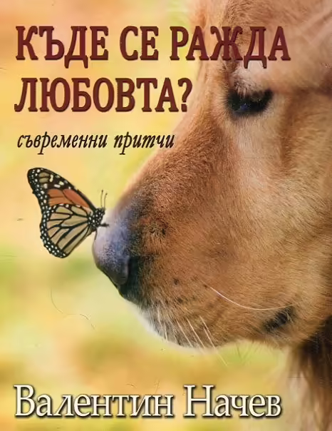 Корицата на 
